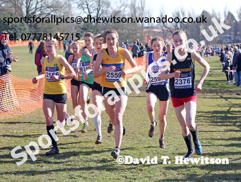 Womens under-20s Inter Counties Cross Country,  Cofton Park, Birmingham. Photo: David T. Hewitson/Sports for All Pics